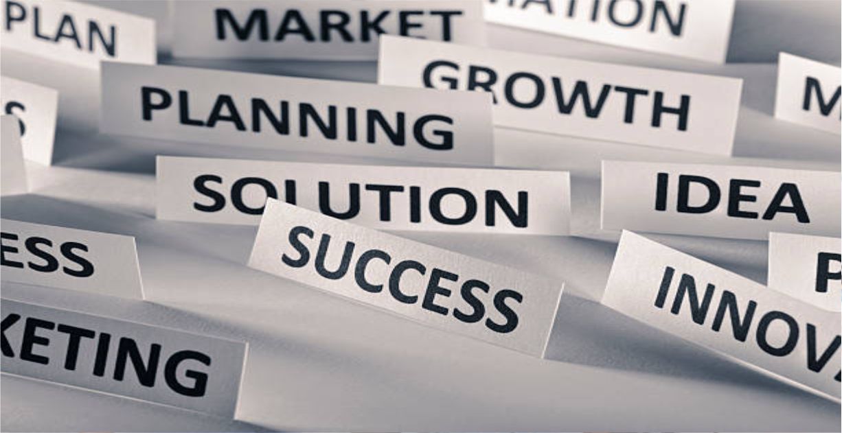 Succession Planning in the Digital Age: A Step by Step Guide to Future-Proof Your Organisation
